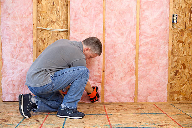 Best Professional Insulation Contractor  in Tucker, GA